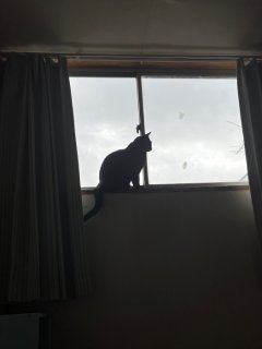 今日も曇りか…（写真:新井見枝香／無断転載禁止）