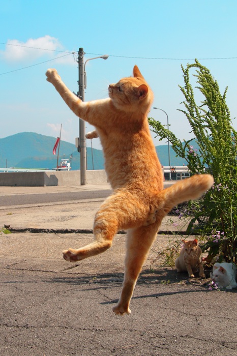 （写真:芳澤ルミ子）