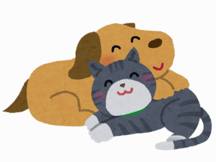 （C）いらすとや