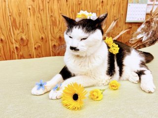 「俺を花束にしてください」奇妙な依頼に困惑。身体が不自由な友人のため…青年の策が起こした“奇跡”